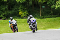 cadwell-no-limits-trackday;cadwell-park;cadwell-park-photographs;cadwell-trackday-photographs;enduro-digital-images;event-digital-images;eventdigitalimages;no-limits-trackdays;peter-wileman-photography;racing-digital-images;trackday-digital-images;trackday-photos